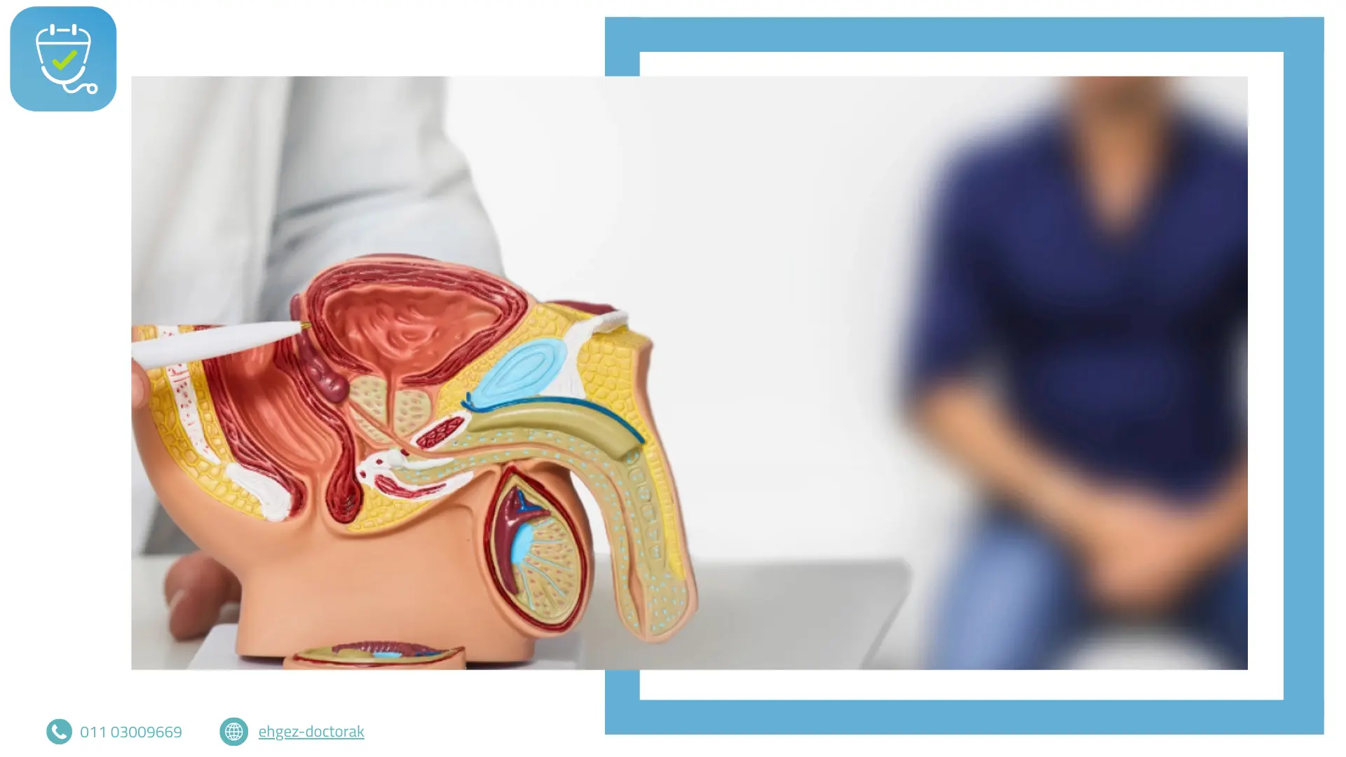 الصحة الإنجابية عند الرجال